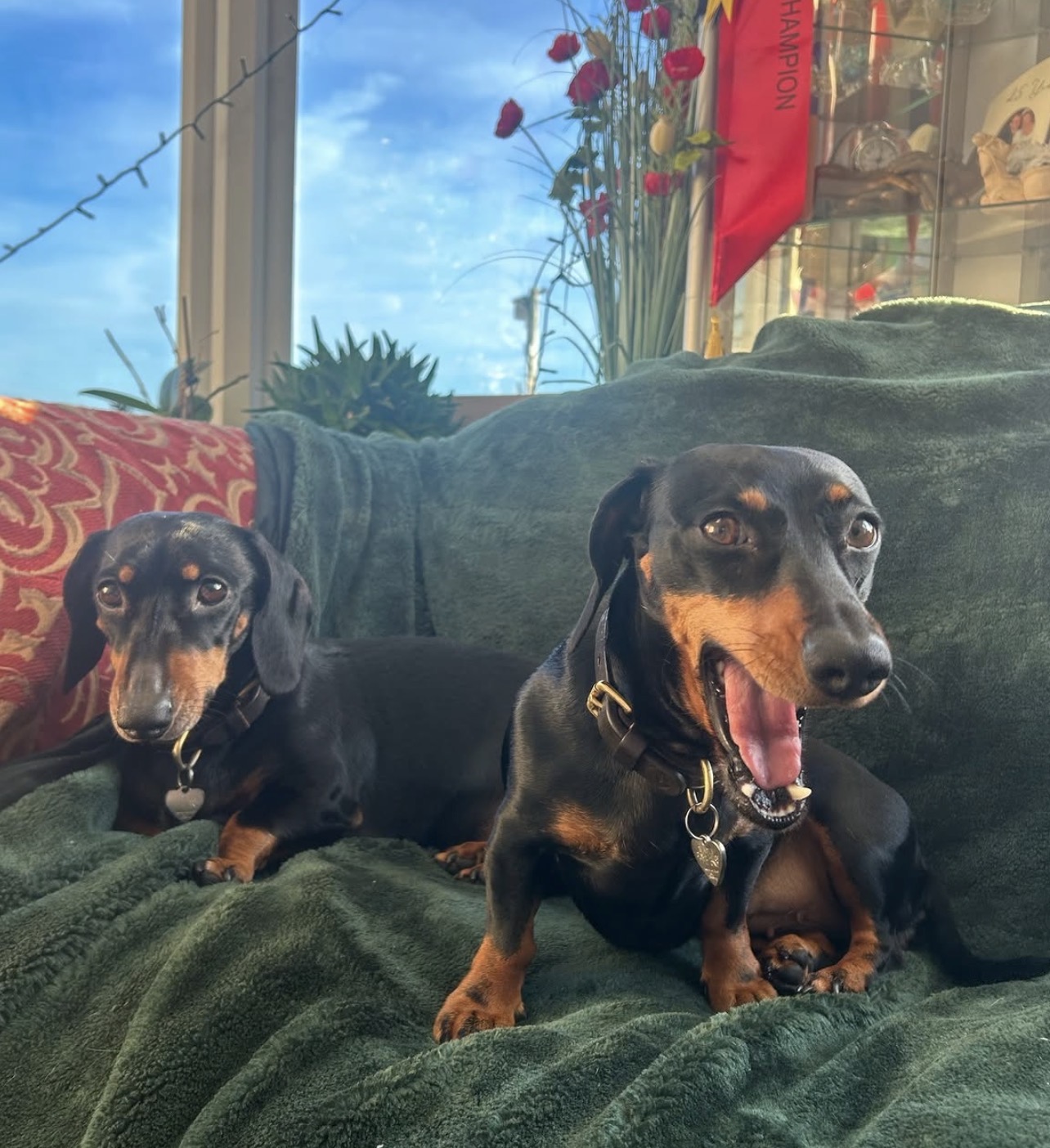 Drop-in Visits